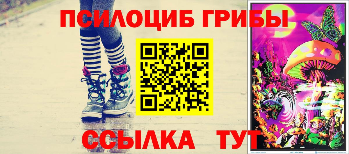 Воткинск  Псилоцибиновые грибы MAGIC MUSHROOMS  Псилоцибиновые грибы Psilocybine cubensis  Вход с VPN 