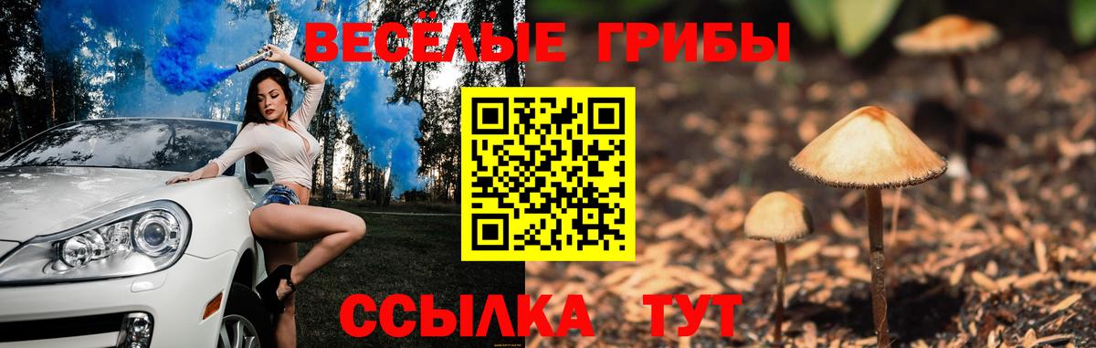 Псилоцибиновые грибы Magic Shrooms Воткинск
